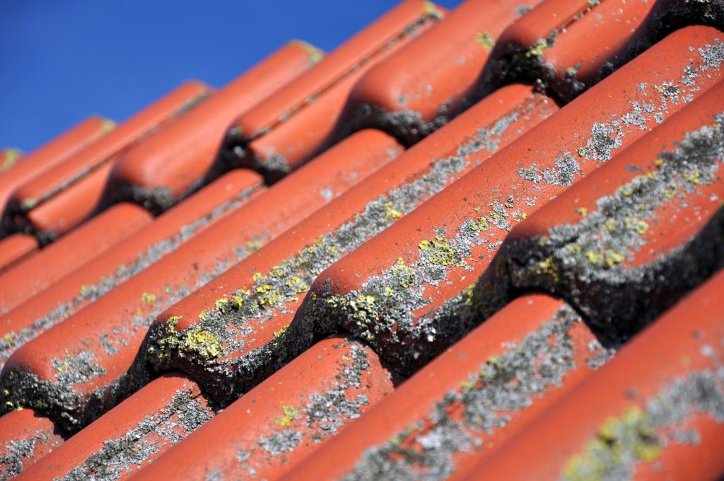 Des cyanobactéries ou algues qui se sont installés sur la toiture. On peut nettoyer le toit avec un drone