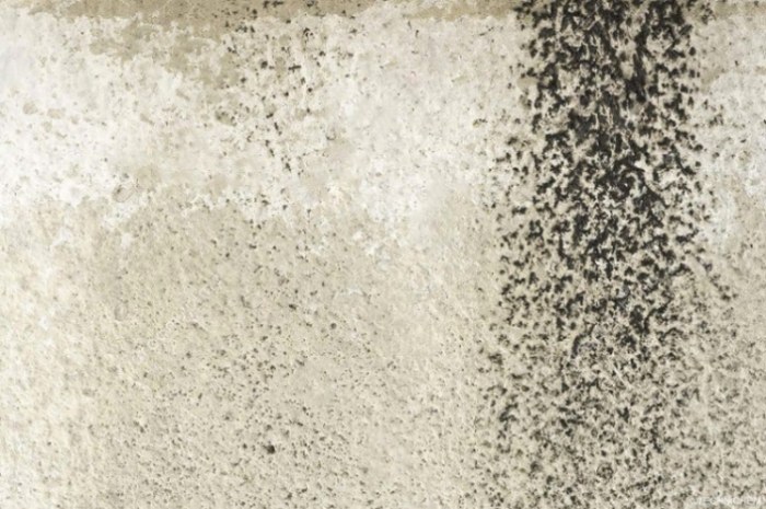 Solution Drone Service | Comment enlever les traces noires sur un crépi extérieur mur crepi sale
